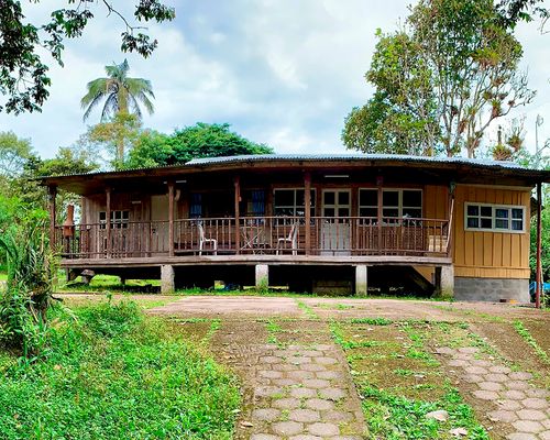 Haus auf Kaffeeplantage