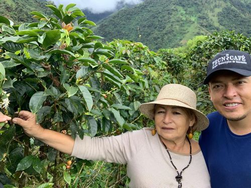 Berge im Hintergrund.